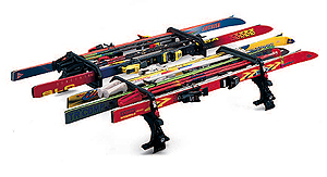ATERA Ski-pick ski carrier